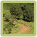 Welcome to The Costa Rica Waterfall Property