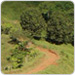 Welcome to The Costa Rica Waterfall Property