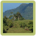 A Northern View of The Costa Rica Waterfall Property