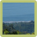 The Bird's Eye Panoramic Ocean View